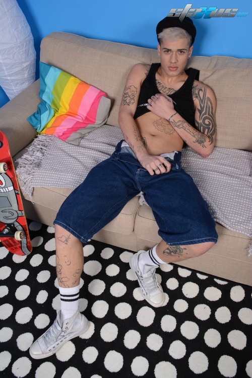 staxus_skater_boy_mickey_taylor_chronicles_of_pornia_blog