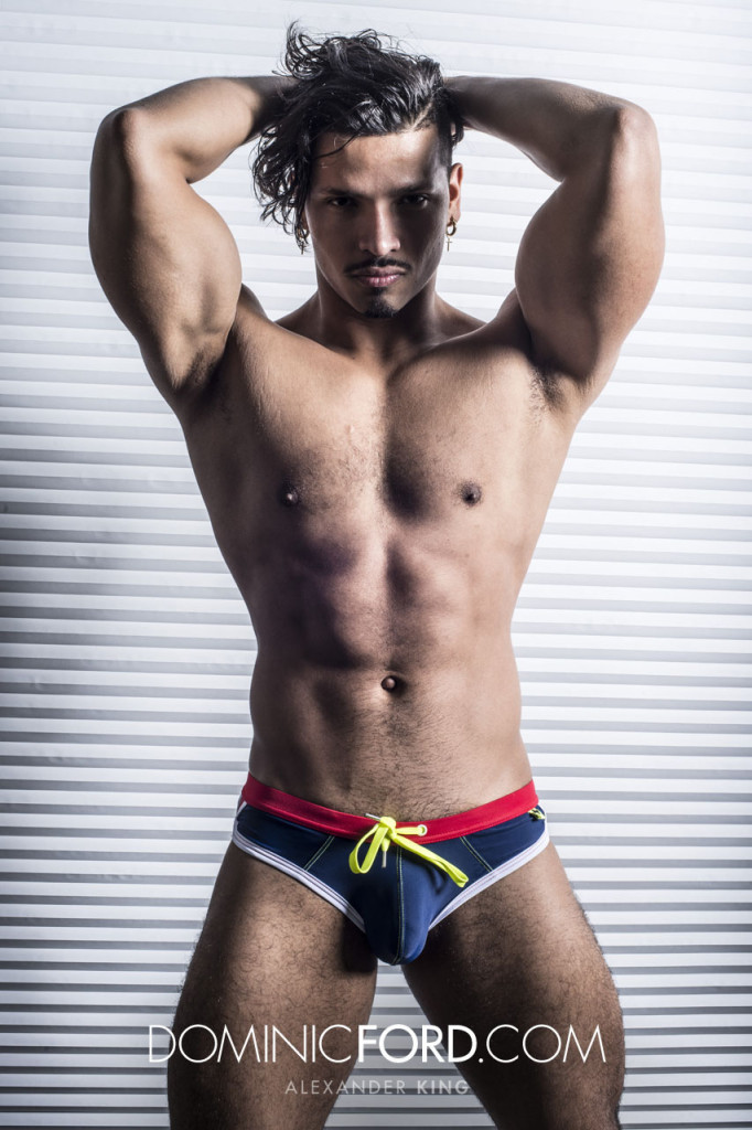 dominic-ford-alexander-king-who-would-imagine-a-king-size-cock-smolder-2-chronicles-of-pornia-blog